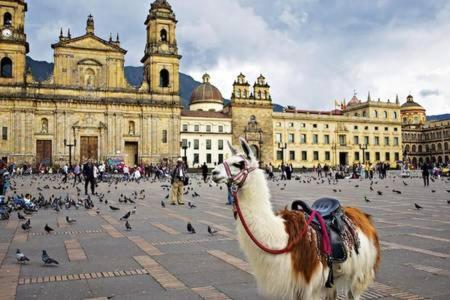 Apartasuites Bogota Romannoti 外观 照片